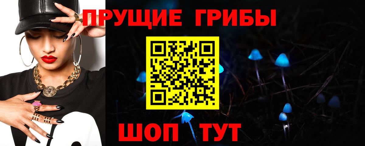закладки  Псилоцибиновые грибы Psilocybine cubensis  Вход с VPN  Астрахань 